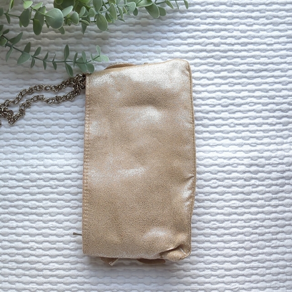 Shimmery Champagne and Silver Clutch - Picture 4 of 4